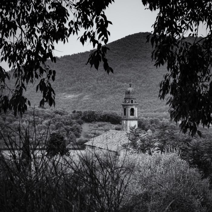 Landscapes