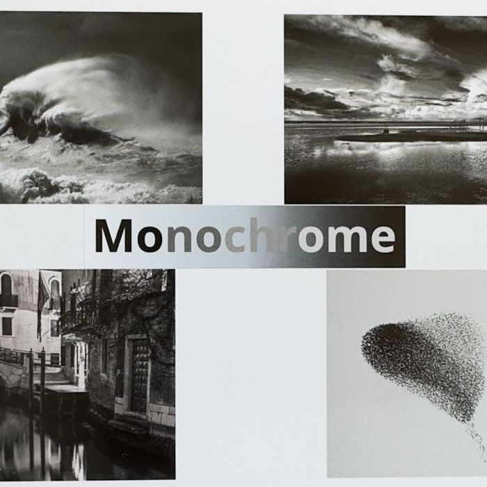 Monochrome