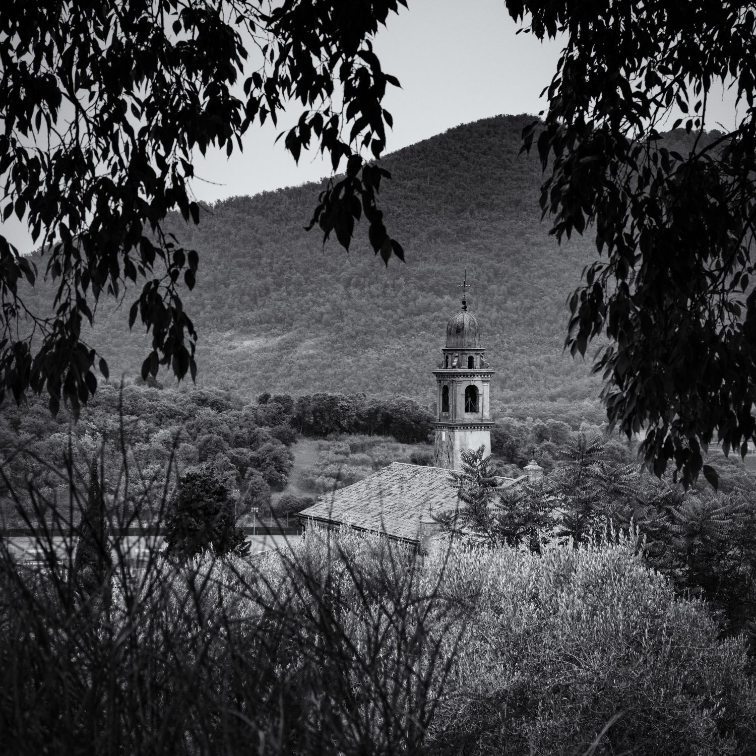 Chiesa di Santa Maria Assunta, Arquà Petrarca, Italy