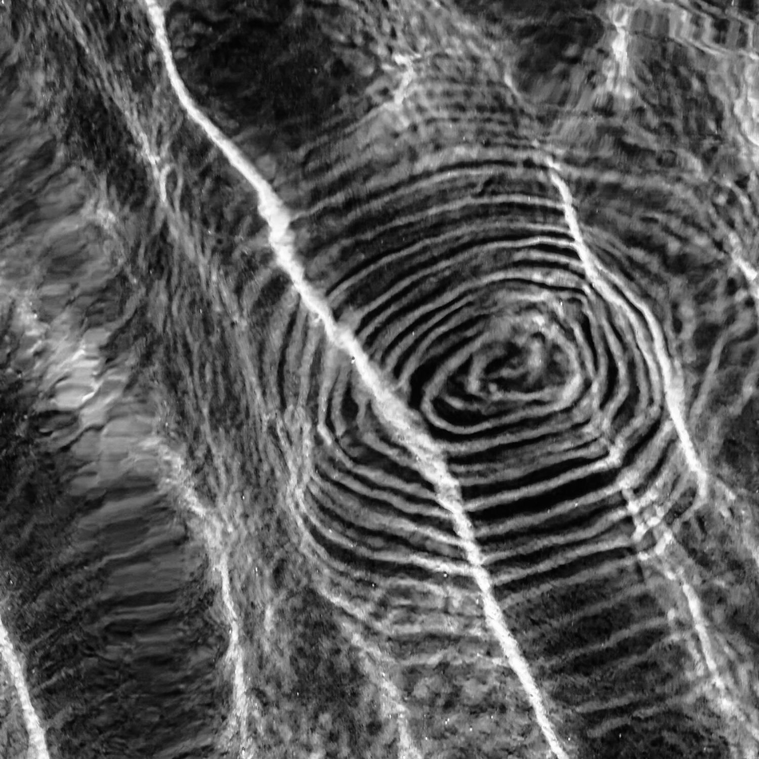 Circles