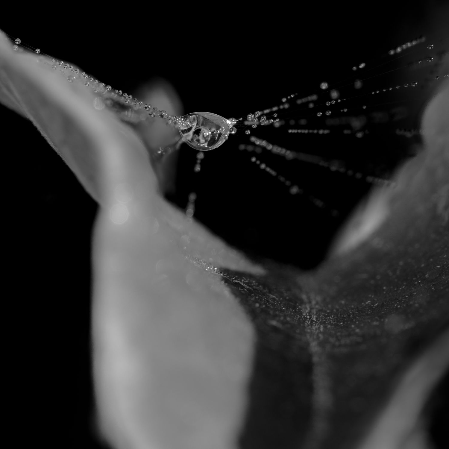 Hanging by a Thread