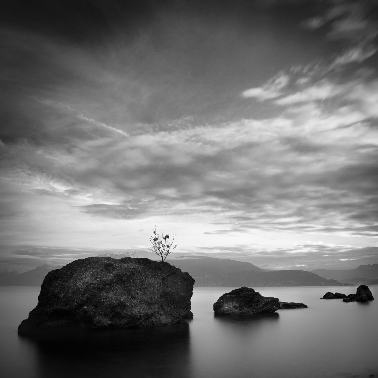 Sapling and Boulders, Lake Garda, Italy 2025