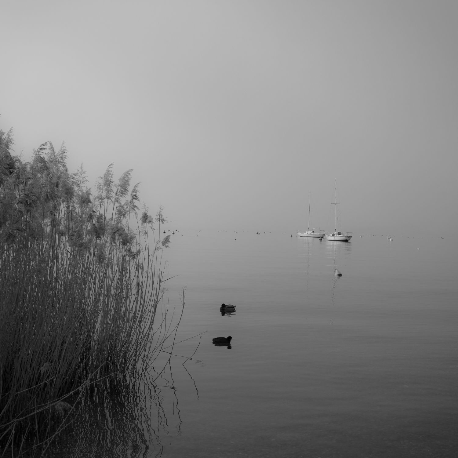 Tranquility, Lake Garda, Italy 2025