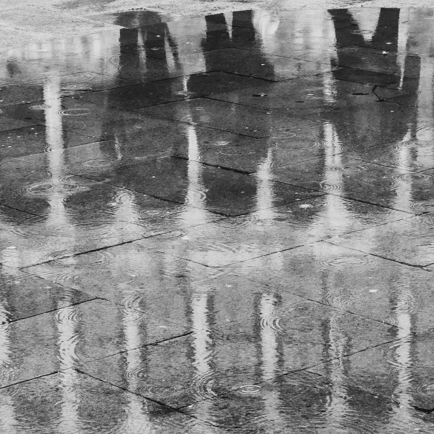 Backpacks and Raindrops 2022