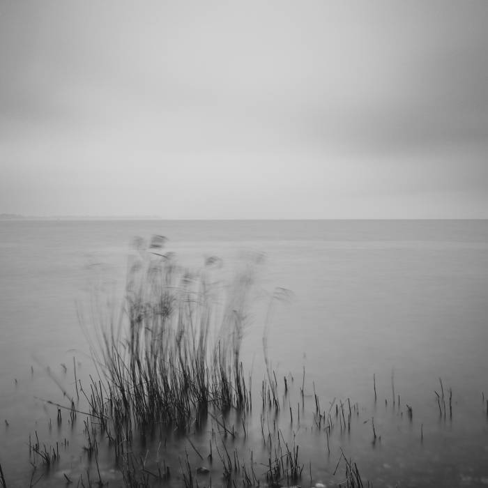 Motion in the stillness Motion in the stillness