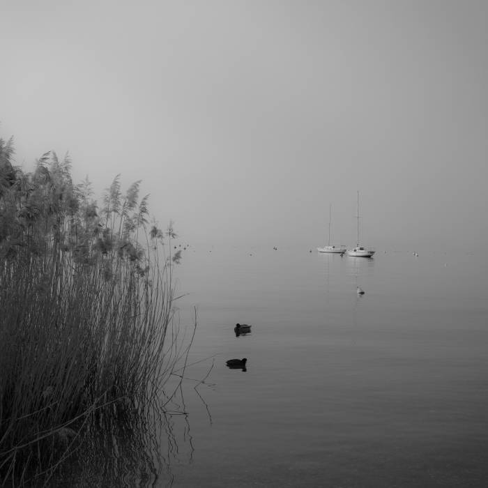 Tranquility, Lake Garda, Italy 2025