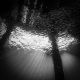 Sunburst and Silversides III, Ambon, Maluku, Indonesia 2014