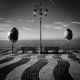 Two trees, two benches and a lamppost, Lazise, Garda, Italy 2025