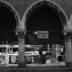 Venezia è  Viva, Mercato del Pesce, Venice, Italy 2022